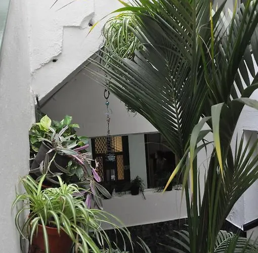 Falow * Las Palmas de Gran Canaria